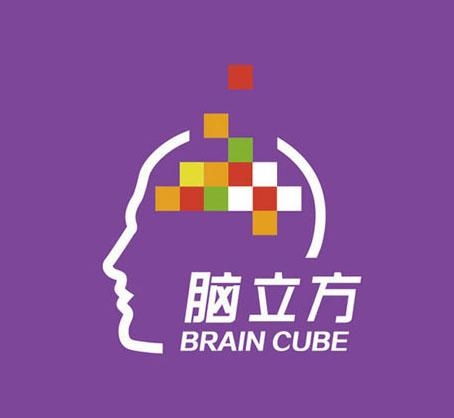 上海脑立方文化传播